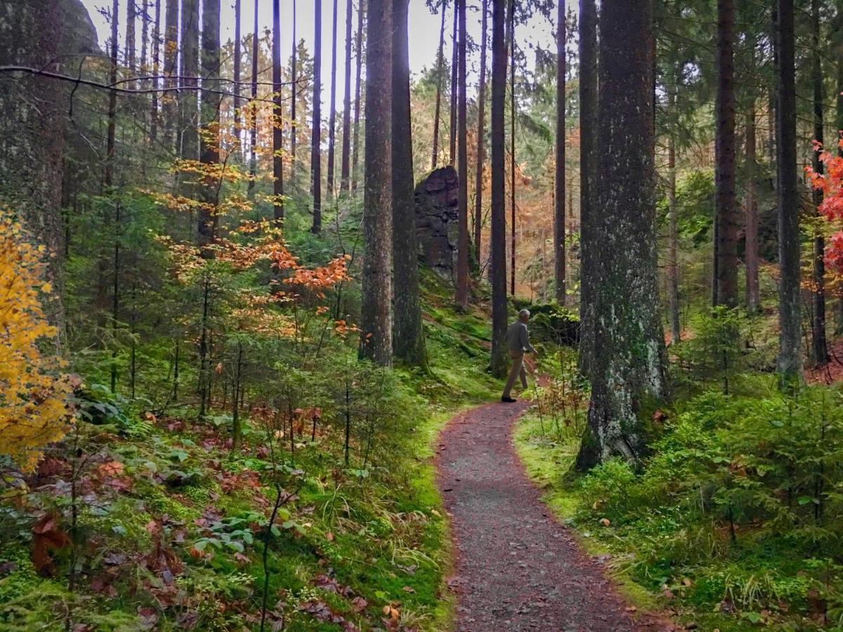 Harz Hotel Und Gaestehaus Am Bornweg Бад-Закса Экстерьер фото